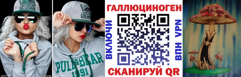 Купить где  Волгоград  Галлюциногенные грибы Psilocybine cubensis 
